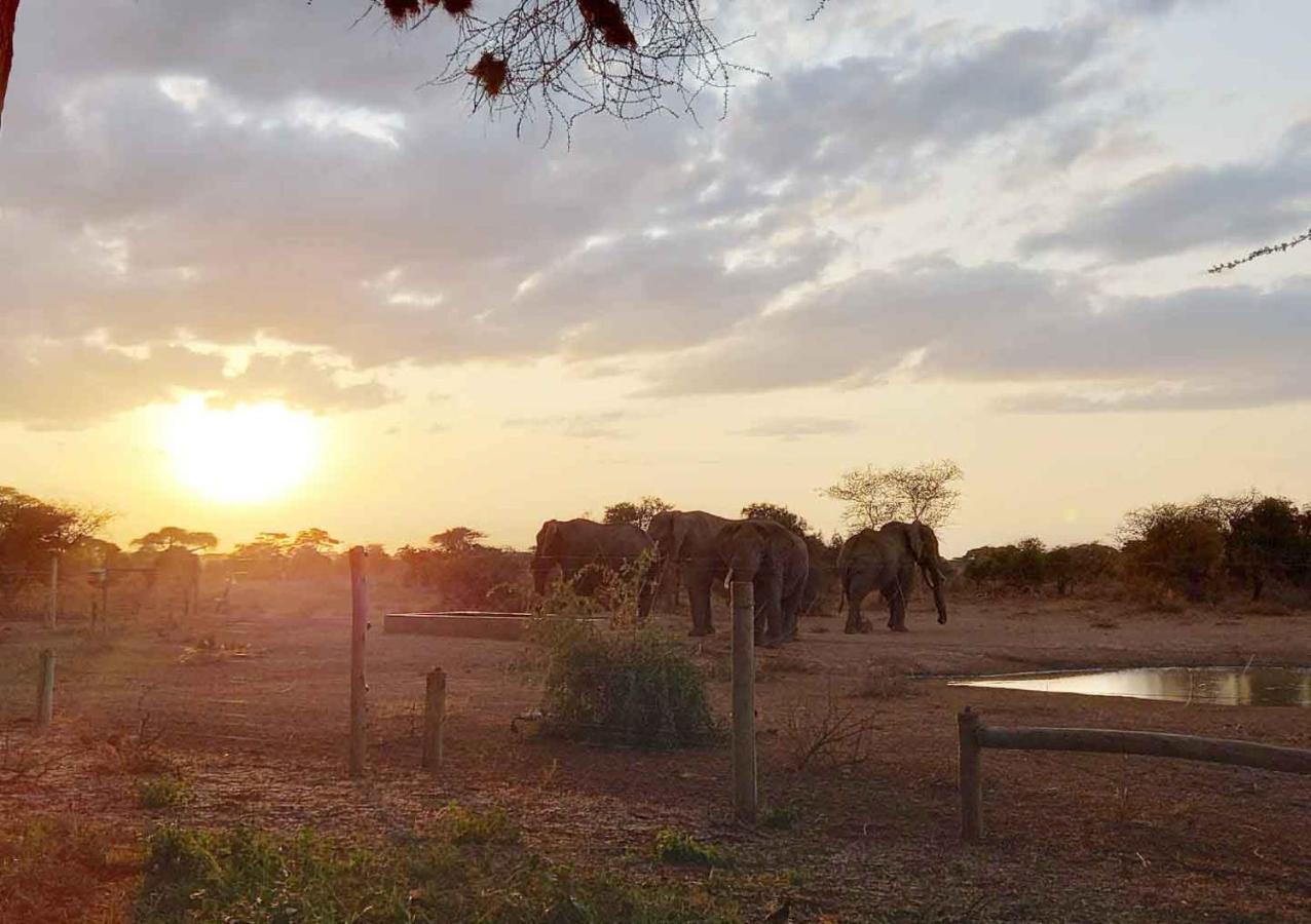 Oilepo Amboseli Hotel Rift Valley Exterior photo